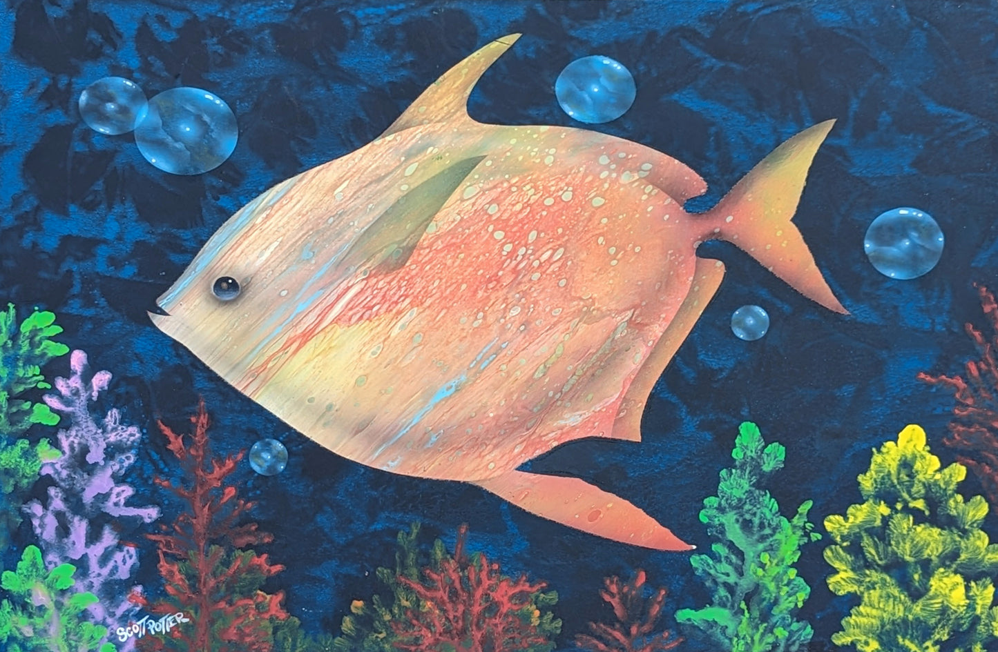 Angel Fish