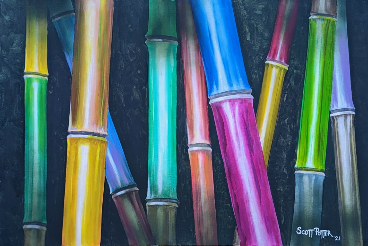 Rainbow Bamboo