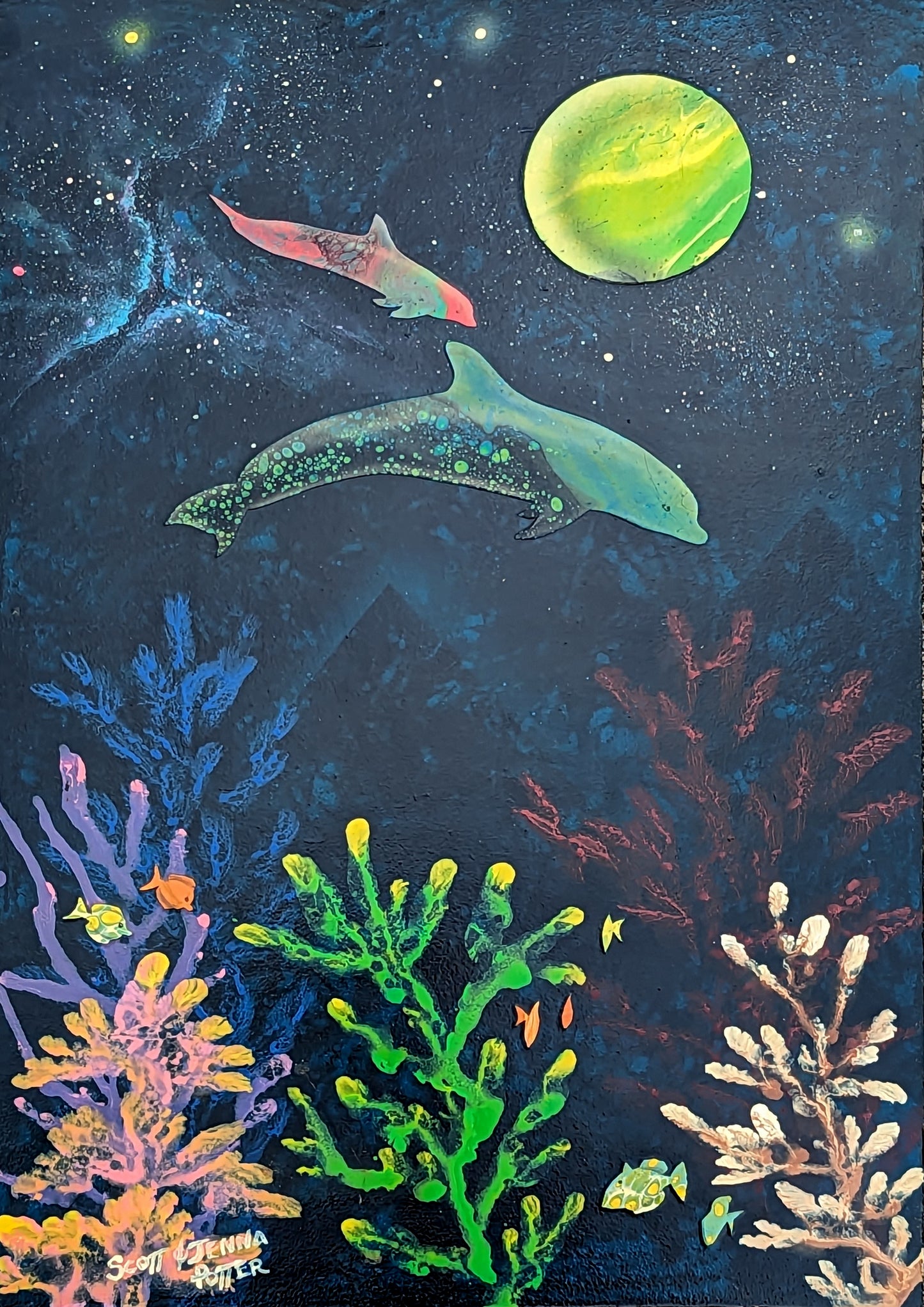 Dolphin Planet