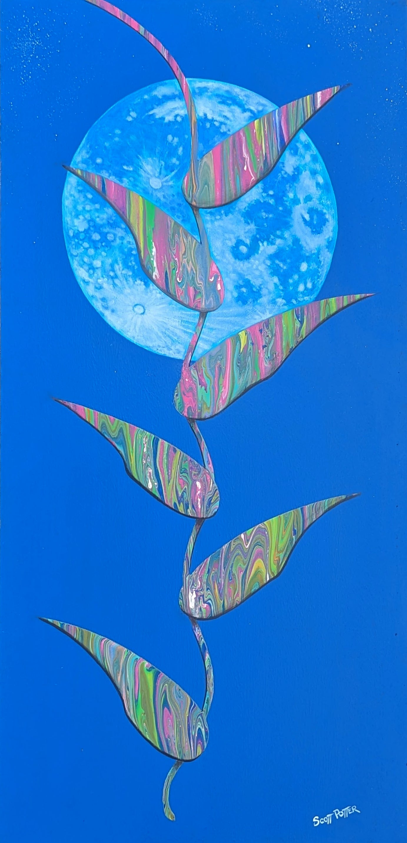 Halenconia Moon