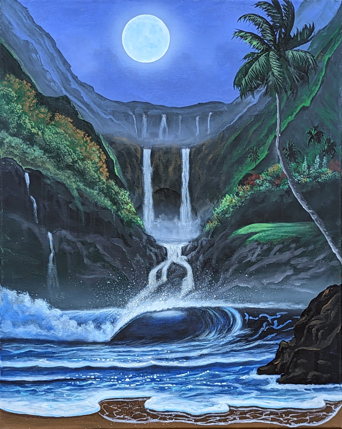 Hanalei Cove