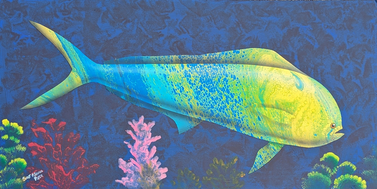 Mr. Mahi