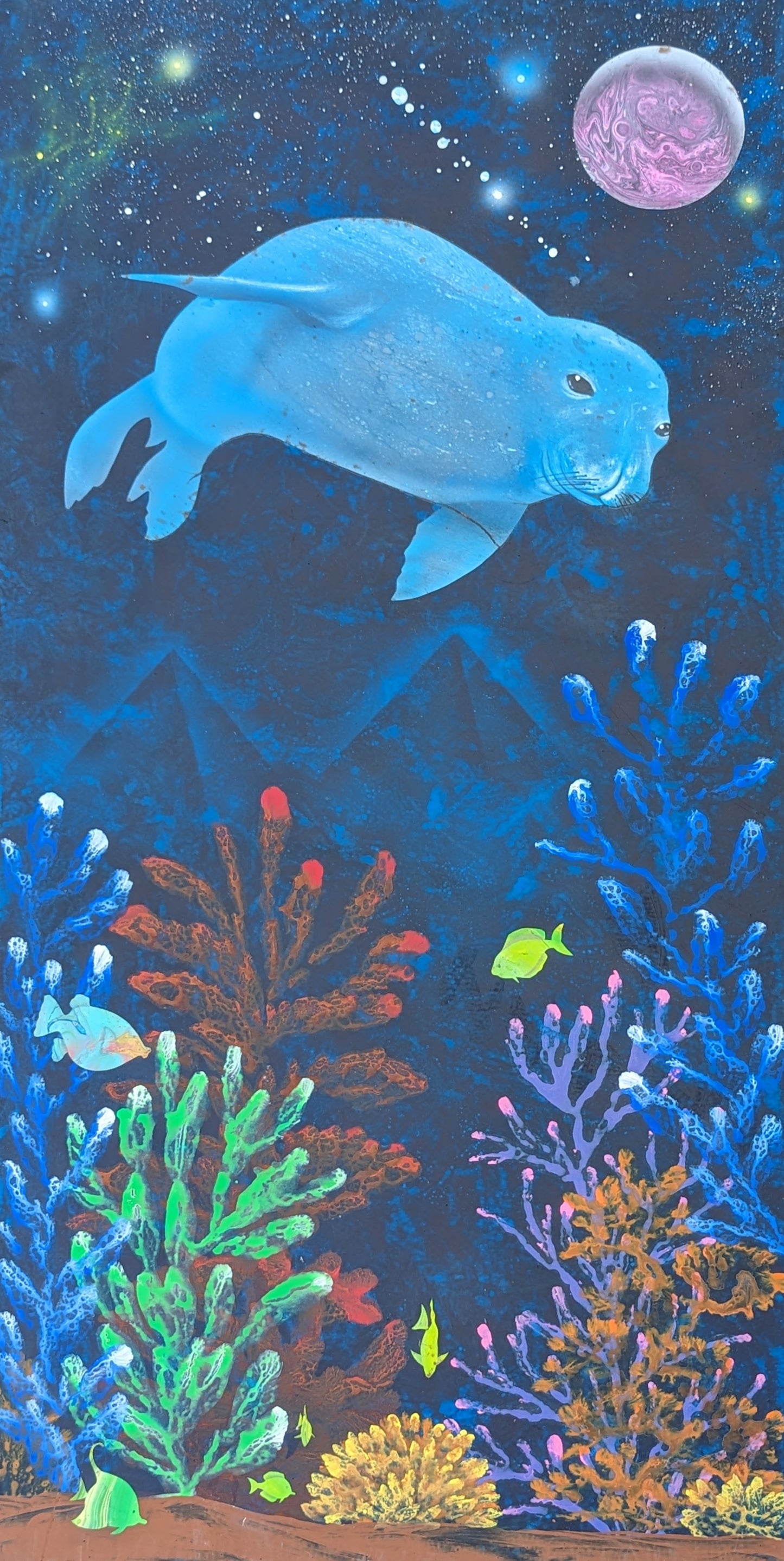 Monk seal
