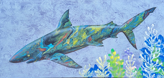 Blue Shark