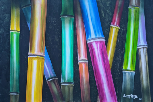 Rainbow Bamboo