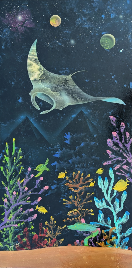 Swimming with the Mantas